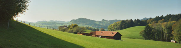 landschaft